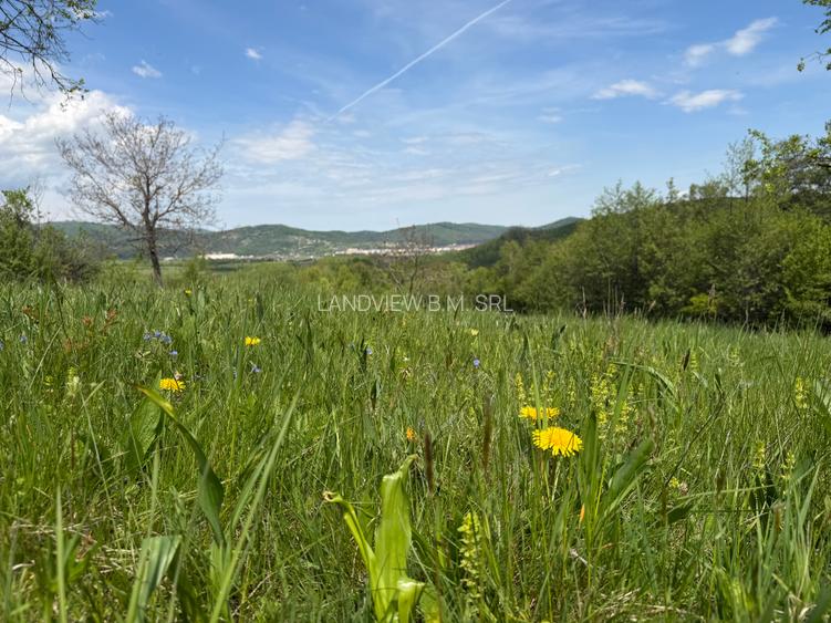 Teren intravilan  intre 500 si 1000 mp cu vedere panoramica   zona  Tohanita - 10