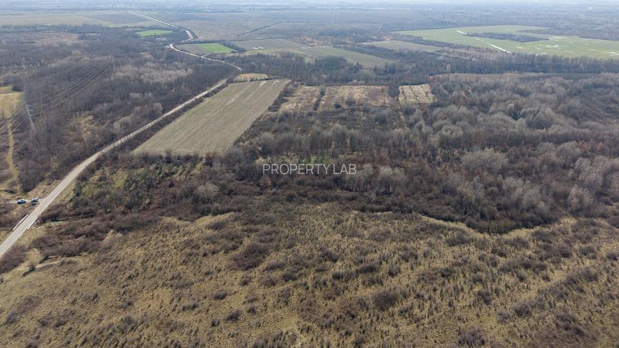 Teren extravilan 95.23 ha lângă Caransebeș - 11