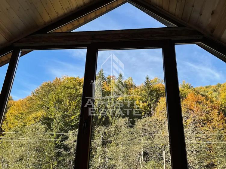 Cabana de inchiriat in Apuseni, Ciubar, Fara vecini, Foisor, Atv - 4