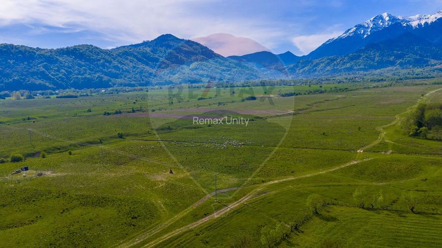 Teren 1ha, extravilan Rasnov / Agricultură sau fermă/ COMISION 0% - 9
