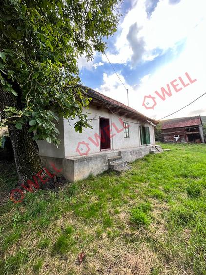 De vânzare casă în Dobolii de sus!