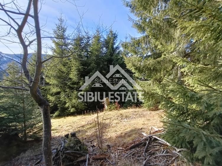 Teren de vânzare în zona montană a județului Alba - 7