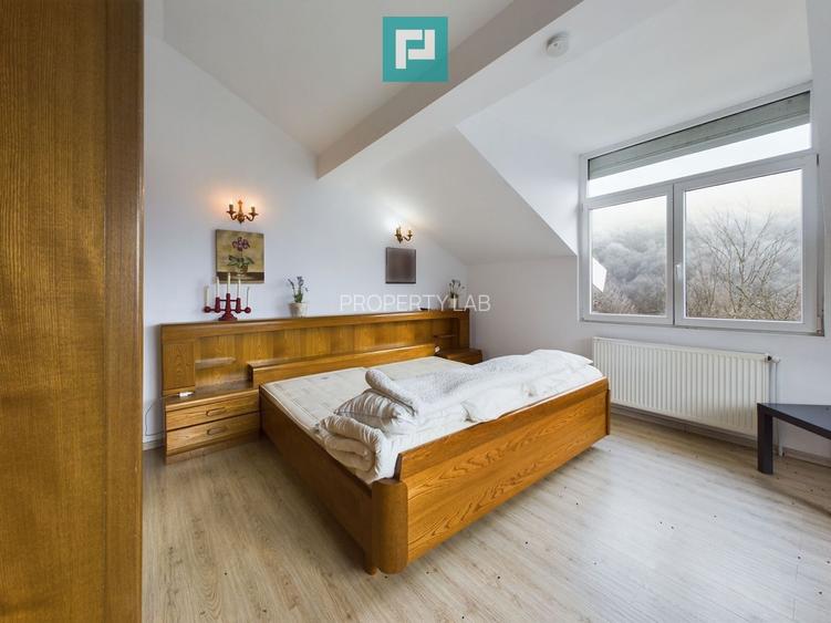 Casă de vacanță în Moneasa - 15