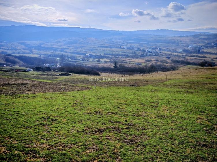 TEREN INTRAVILAN ,17.350 mp , in zona BORHANCI - SOPOR - 2