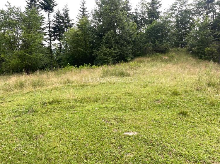 Teren intravilan dezvoltare turistica Hoteluri/Pensiuni S+P+2E+M - 8