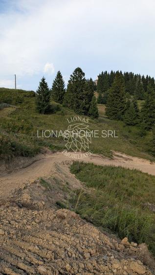 OFERTA! 11 Parcele teren intravilan-Piatra Fantanele, Castel Dracula - 2