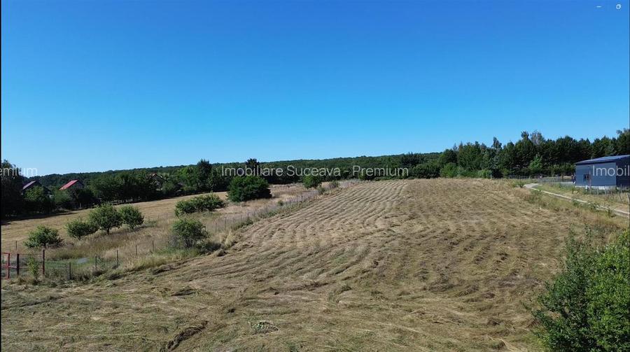 TEREN INTRAVILAN 6.200 MP | MITOCU DRAGOMIRNEI | 180,15 ML DESCHIDERE | 12 KM DE