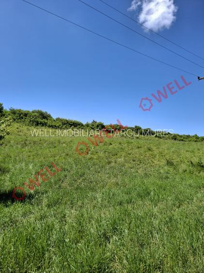 De vânzare teren intravilan de 30 000 m² (3 ha) în Reghin - 15