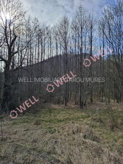 🏡 Teren de vânzare în Sovata – Strada Stâna de Vale - 5