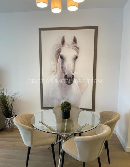 Apartament in zona Primaverii cu 3 camere mobilate - 5