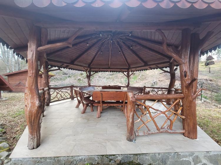 Cabana de vanzare ,Valea Avrigului/ 3000 mp/Langa padure - 23