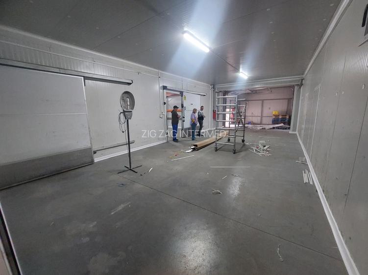 Zona Industriala , hala frigorifica 527 mp. - 14