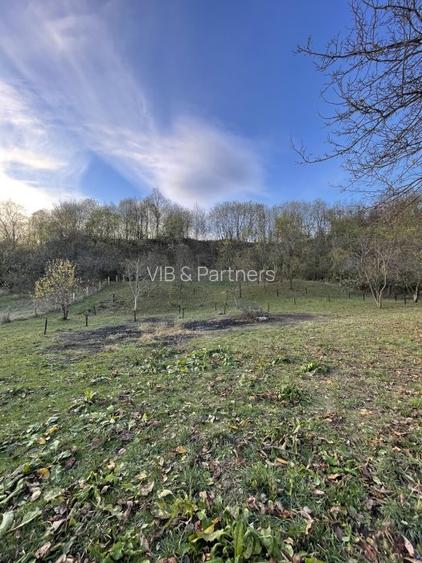 Mihaesti - Sat Draghici, teren intravilan, cu o suprafață generoasă de 7.280 mp - 12