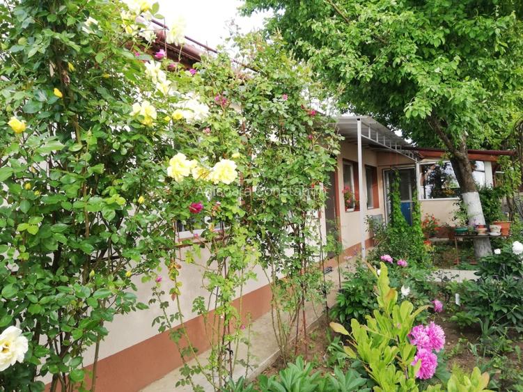 Casă de vânzare, Mihai Bravu, Giurgiu, locuinta permanenta sau casa de vacanta - 2