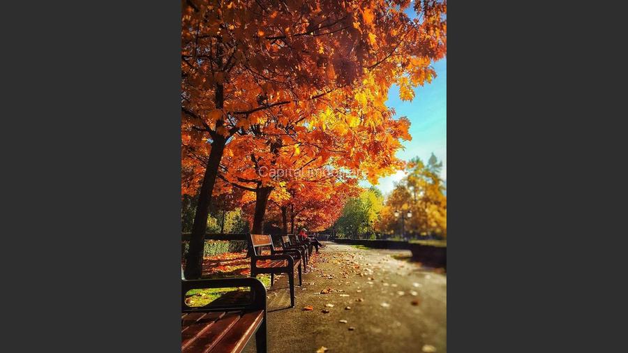 Complex turistic de vânzare, chiar în centrul stațiunii Durău. - 18