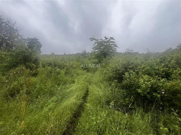 Teren intravilan, 1000mp, in Valea Calugareasca. - 10