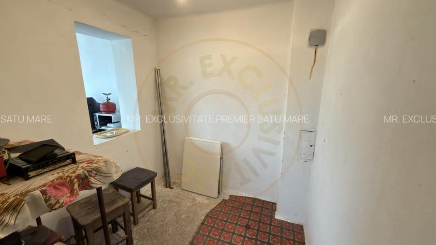 De vânzare 2 Case de vinificație cu Teren 4108 mp - Grădina Viilor - Carei - 13