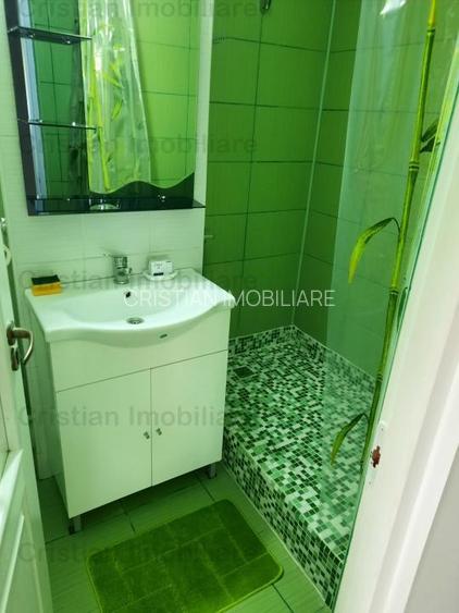 Apartament 1 cam Mobilat si Utilat complet SUPER , etaj 2, Buzaului - 9