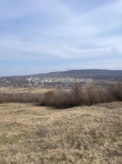 Teren intravilan 11.300mp, Barnova, cu acces auto si front stradal - 5