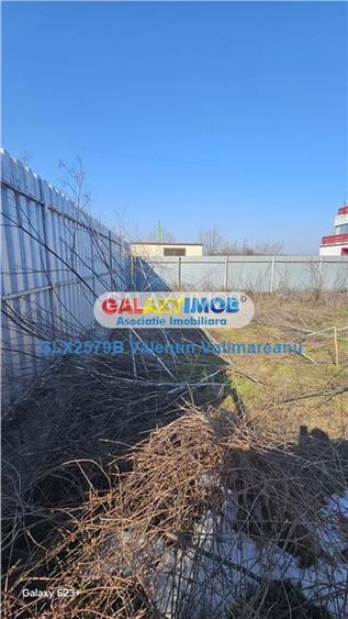 Teren 1 Decembrie VI 011 - 4