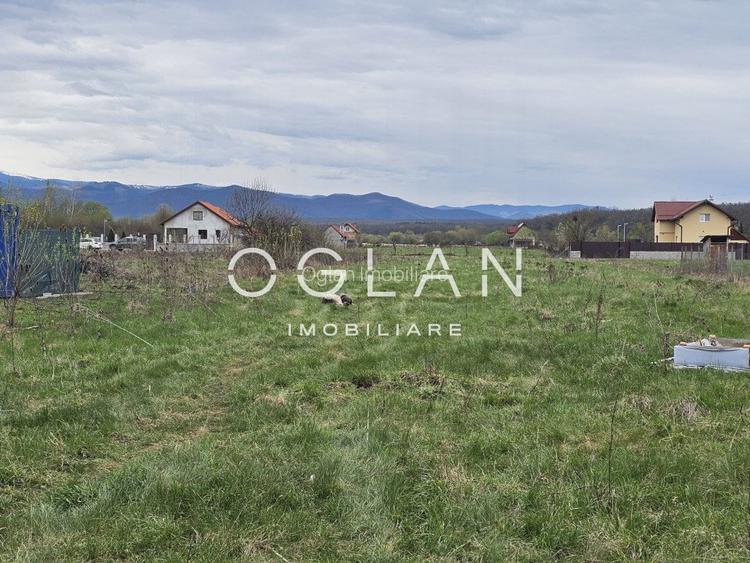 Teren intravilan de 500 mp in Calea Cisnădiei, Sibiu - 4