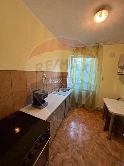 Chirie Pet Friendly apartament 2 camere Caragiale - 6