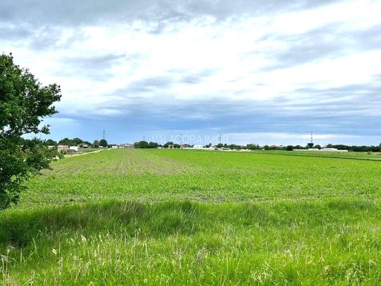 Teren intravilan | Dragomiresti Vale | Sat Zurbaua IF | INVESTITIE - 2