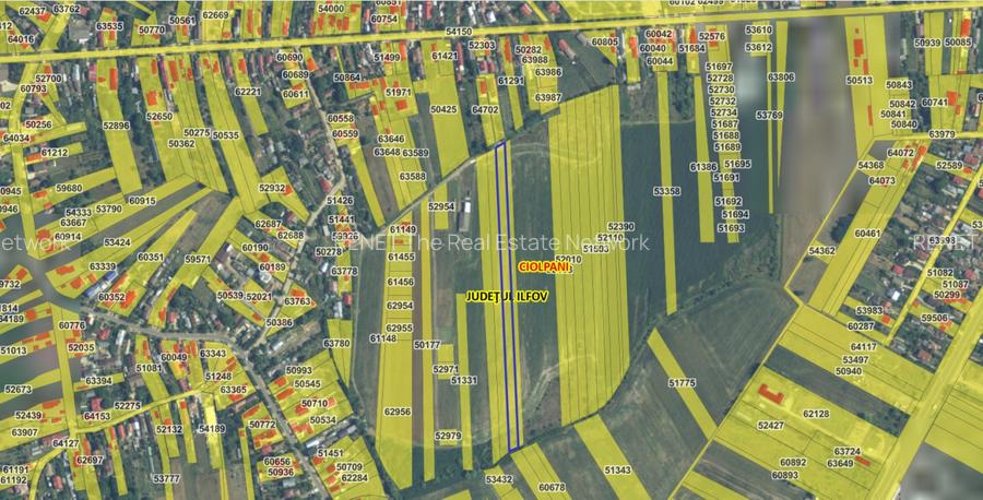 CIOLPANI, LOT 4.900 MP! - 5