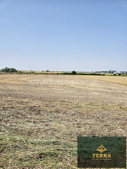 Loturi de teren , vis-a-vis de Insula Ovidiu - 5