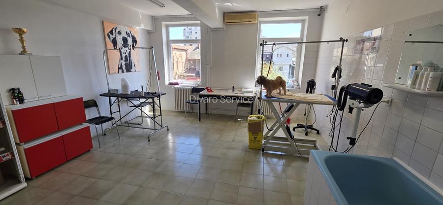 Vanzare imobil D+P+2+M Sebastian LIDL ideal clinica/birouri/rezidenta - 5