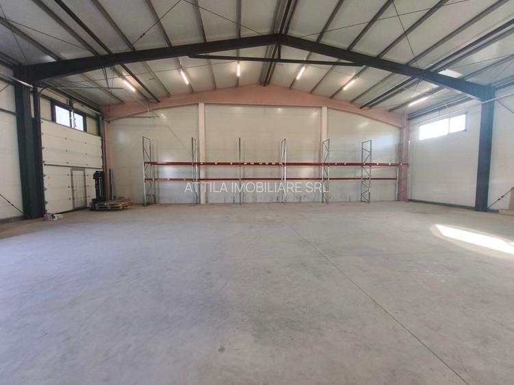Hala Mosnita Noua 300 mp/5 euro+ TVA - 2