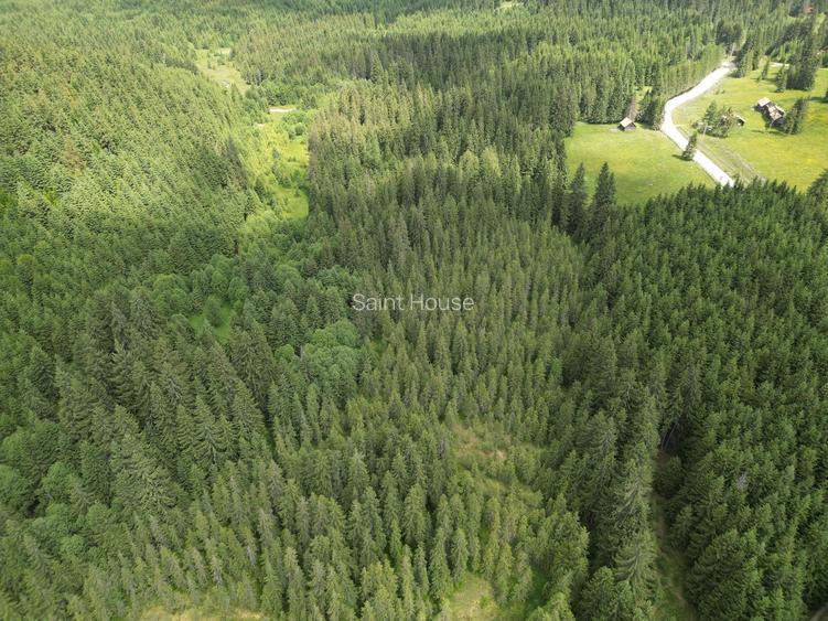 Teren extravilan 5000 MP Comandau - 9