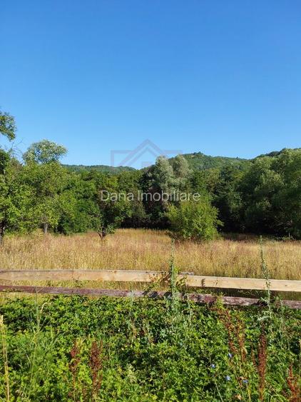 TEREN INTRAVILAN ZĂVOI\ZONA VALEA BISTREI, JUD.C-S - 4