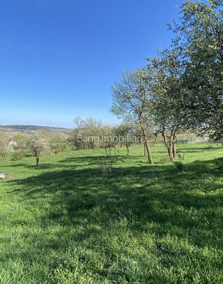 Teren cu casa demolabila Valea Chintaului 2000 mp extravilan  - 5