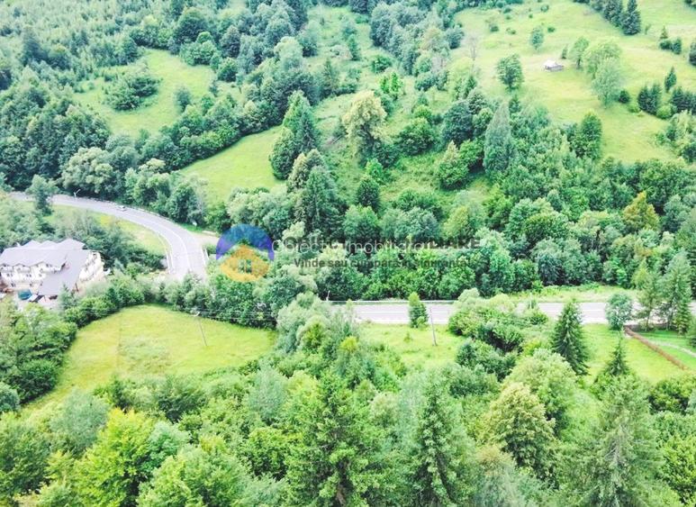  TEREN Izvoru Muntelui, langa orasul  BICAZ - 9