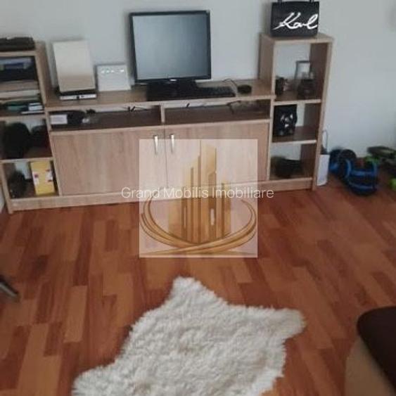 Oportunitate! Apartament 1 cameră, renovat, mobilat – Lipov langa Lidl - 2
