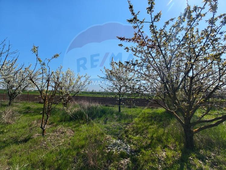 Casa de vanzare cu teren de 2175 mp,anexe si livada generoasa | Mailat - 14