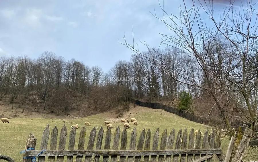 TEREN DE VANZARE -DEALURILE SULTANULUI - 5