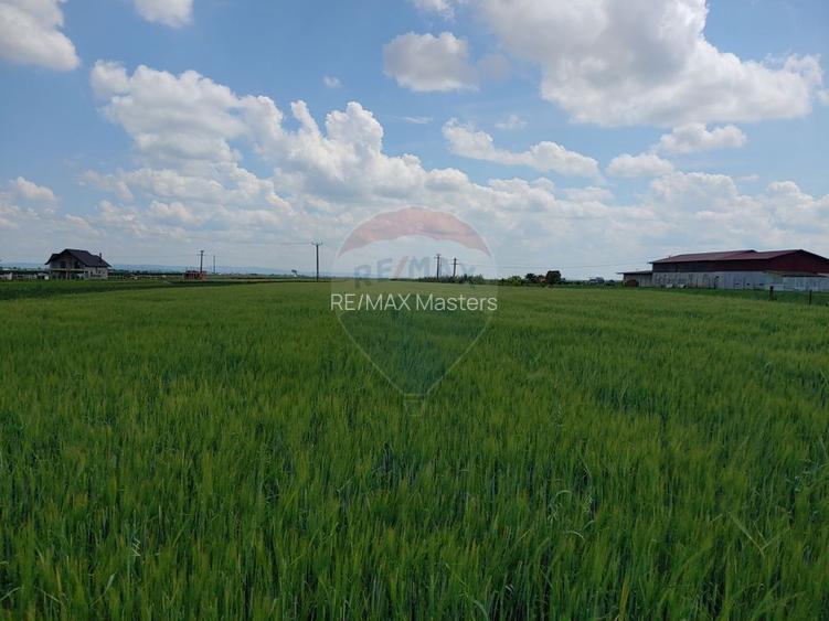 Teren intravilan 6,600mp Dumbraveni / Strada Principala spre Veresti - 3