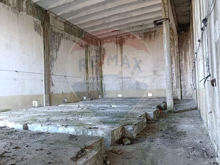 Spațiu industrial de 5,000mp de vânzare TULCEA 24.000MP intravilan - 14