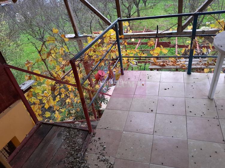 BARCANESTI -  casa +curte+teren 16k mp - 22