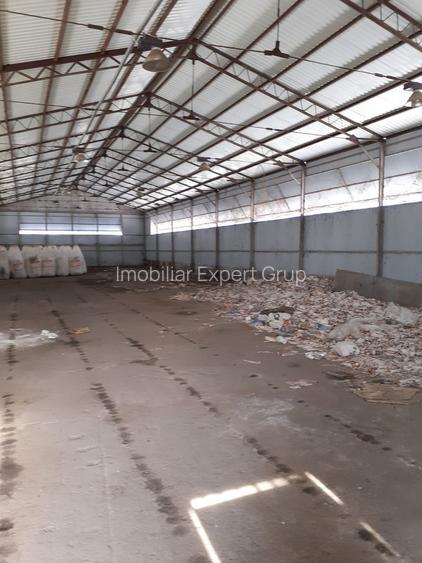 Hala industriala Frumusani - Buciumeni - 4