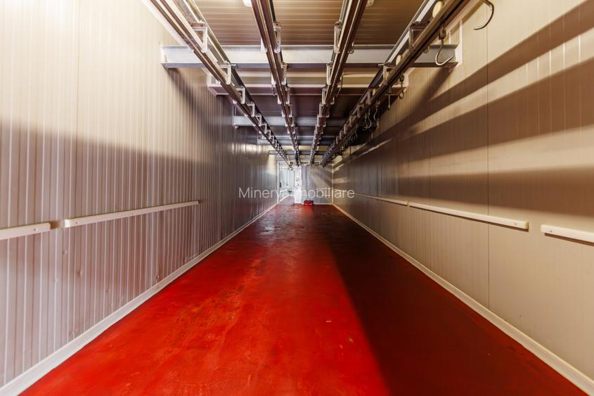 Hala depozitare, Dumbravița Timis, 1285 mp, Farma GDP Medical Cosmetice 6000 Eur - 7