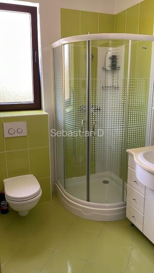 Casa de vanzare in IZVIN jud. Timis  - 12