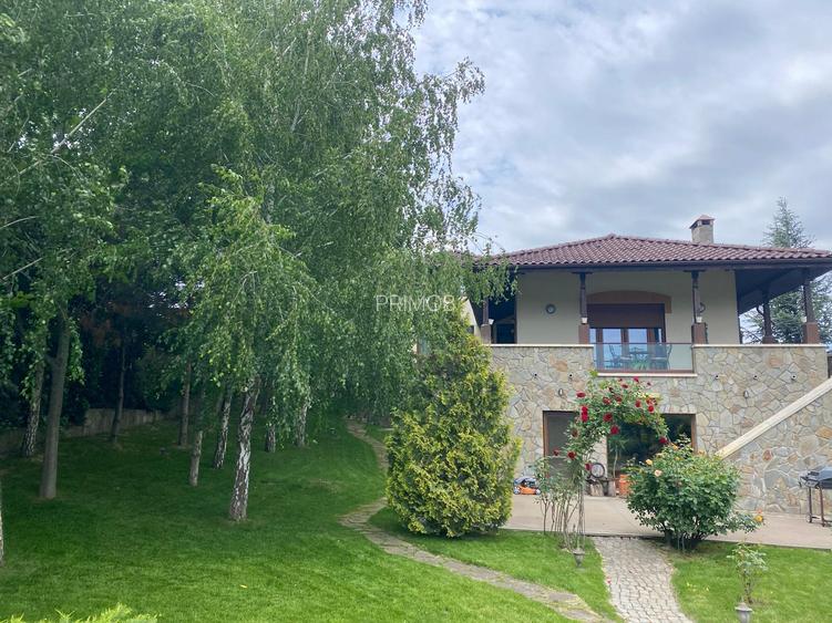 Mogosoaia,vila robusta cu vedere spectaculoasa catre lac,palat,parc,1750mp teren - 31