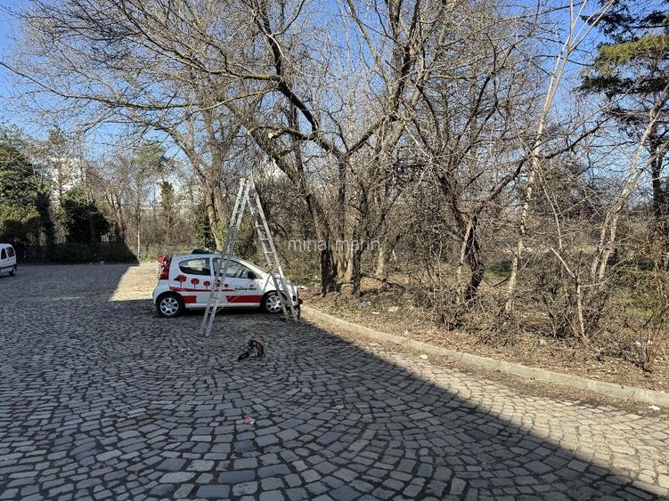 Teren festivaluri, Evenimente, Piete de Weekend ULTRACENTRAL , Calea Plevnei  - 11