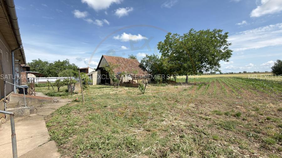 Casă 4 camere, Teren 1955 mp Str. Vezendiului Nr. 366 - Loc. Petrești, Satu Mare - 15