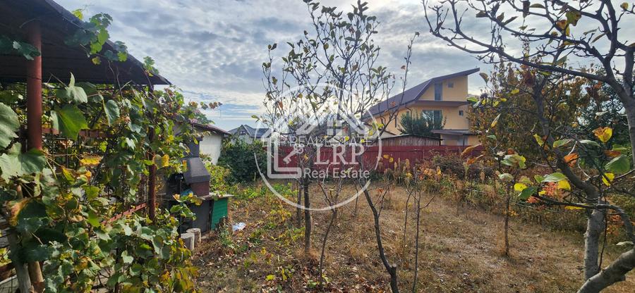 [DOMENIU PRIVAT] Vilă deosebita în Inima Orașului Voluntari | Teren 2.500 mp | - 33