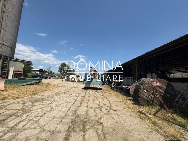 Vanzare proprietate industriala - Targu Jiu - *teren + hala + birouri* - 10