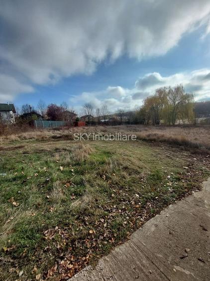 PARADISUL VERDE, CORBEANCA | TEREN EXCLUSIVIST PE MALUL LACULUI - 9